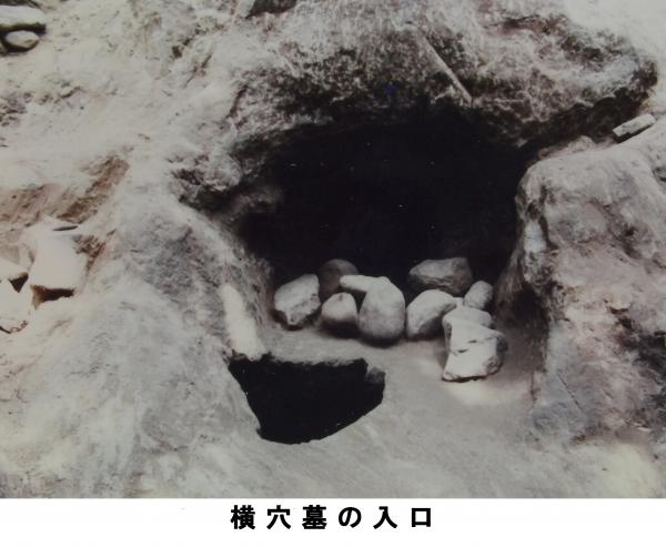 横穴墓の入口