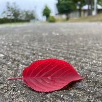 1 写真で伝えたい名取の魅力の画像2