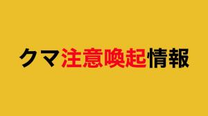 クマ注意喚起情報