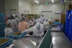 工場見学２