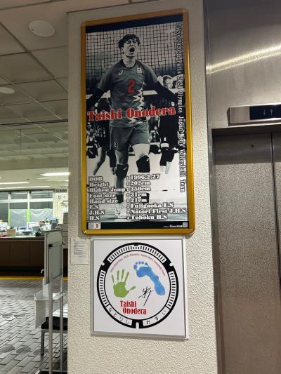 展示