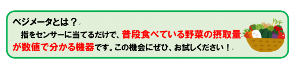 ベジメータ説明