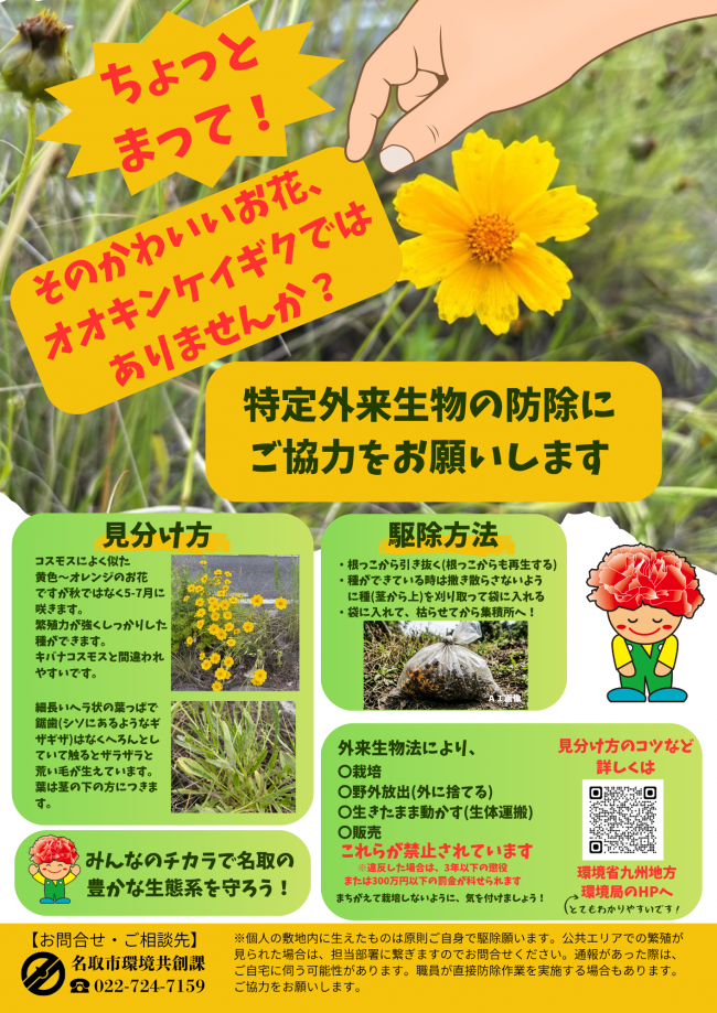 ちらし